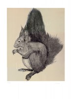 ecureuil